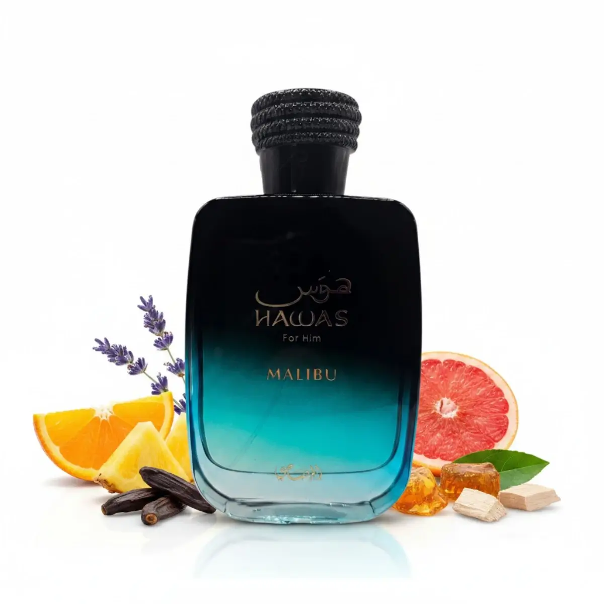 Notas del perfume Hawas Malibu